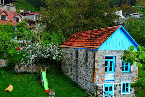 toon-armeni-0-600